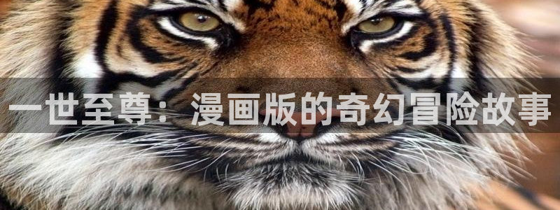 yy漫画免费在线：一世至尊：漫画版的奇幻冒险故事