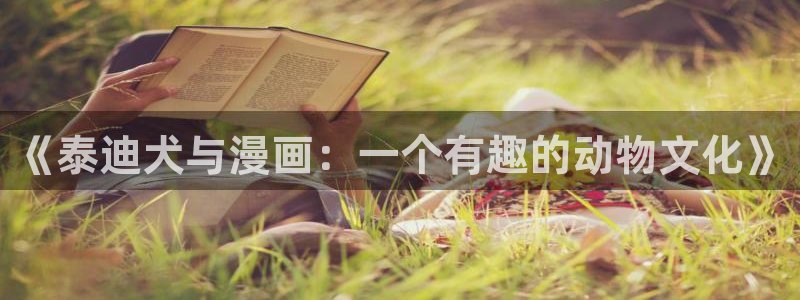yy漫画视频：《泰迪犬与漫画：一个有趣的动物文化》